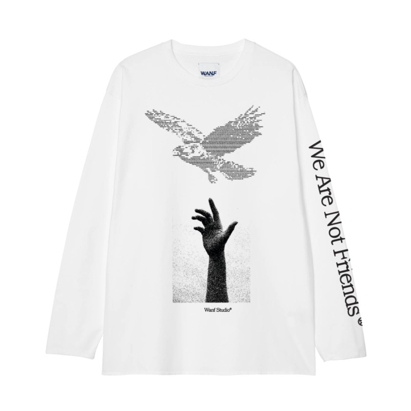 WANF ASCII FALCOM LS