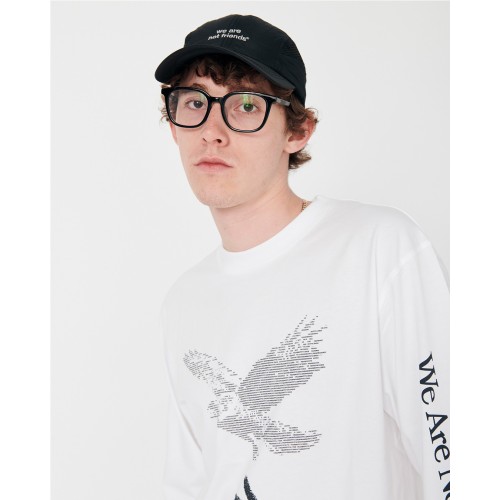 WANF ASCII FALCOM LS